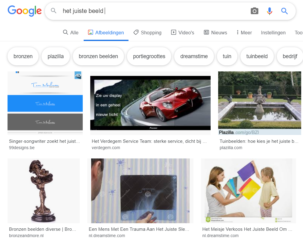 Google Image Search zoekopdracht 'het juiste beeld'